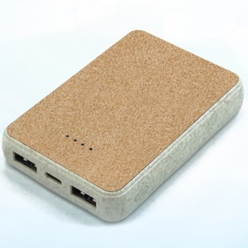 SS82029